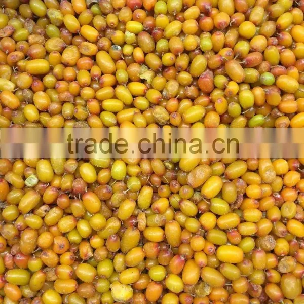 Apple Fruit Fresh photo-5
