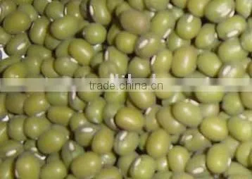 GREEN MUNG BEAN