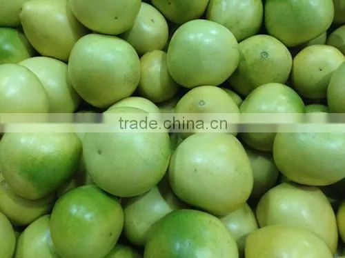Pomelo From China photo-2
