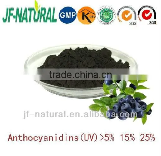 Bilberry Fruit Extract