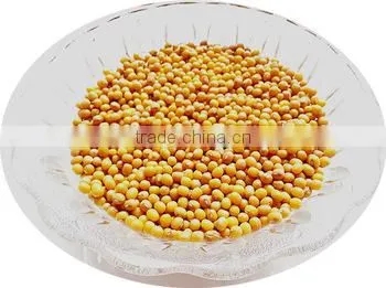 JSX Chinese Yellow Mung Beans Sprouting Grade Mung Dal