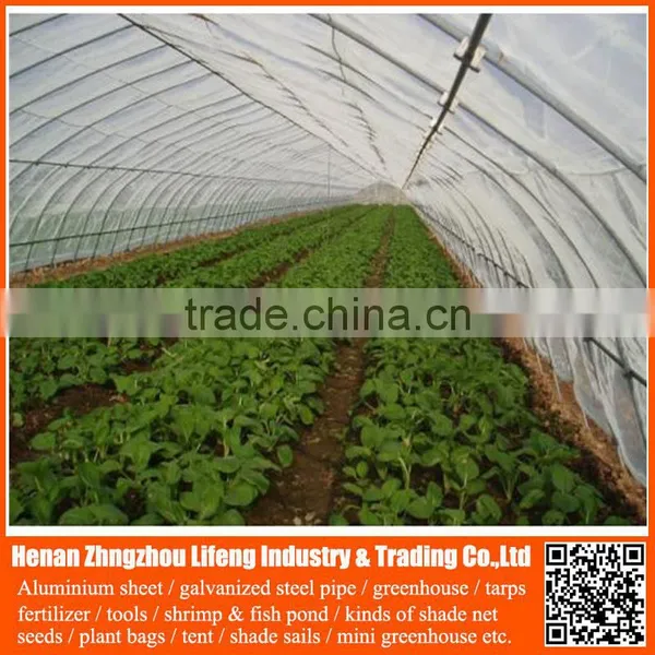 40 Mesh 50 Mesh100% Virgin Hdpe Greenhouse Insect Net , Plastic Vegetable Anti Insect Net , pe Agricultural Insect Proof Net photo-4