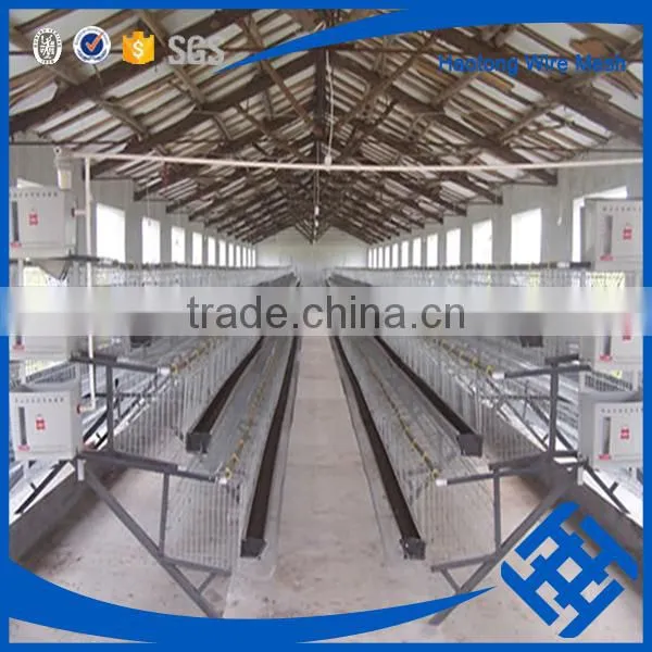 Wholesale Market 120 Bird and 160 Birds Chicken Cage photo-6