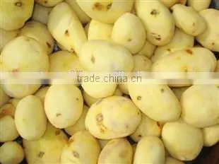 China Industrial Potato Chips Production Line Price photo-2
