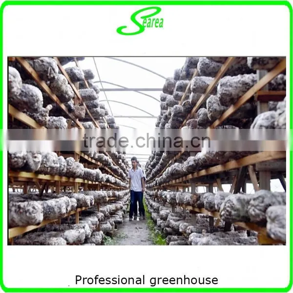 Mushroom Growing Tunnels photo-3