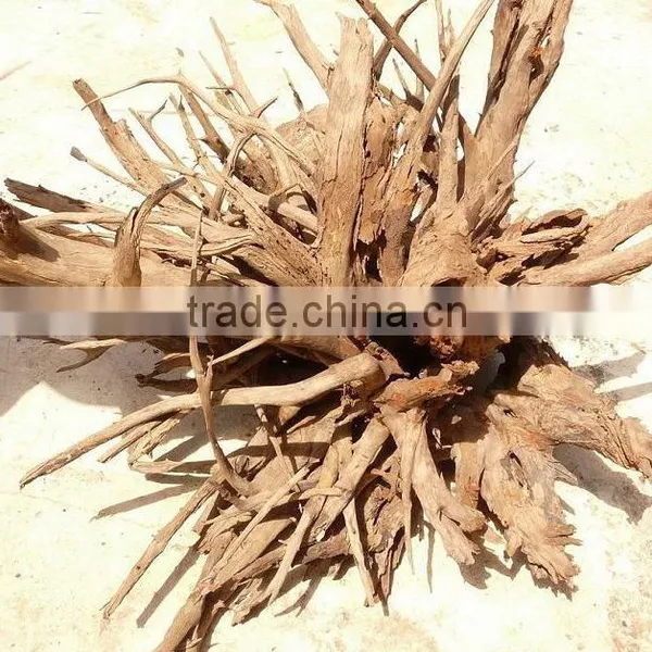 Hallow Natural Driftwood Root Landscape Design for Reptile photo-3