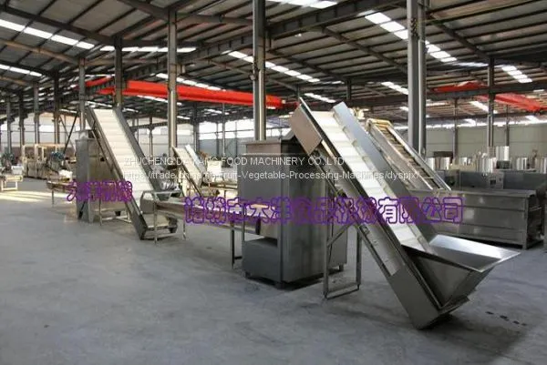 Машины для обработки чеснока photo-2