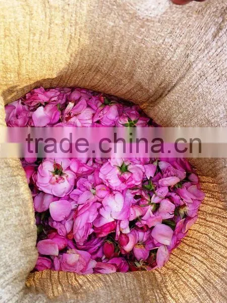 Indian Rose Oil Pure Fresh photo-3