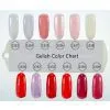 IDO Gelish Soak off Gel Polish Color Chart