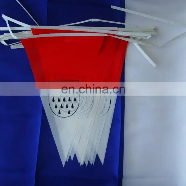 Popular pe Bunting Flag From Wenzhou Fly photo-2