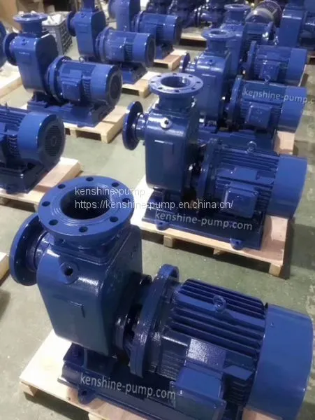 ZJ Horizontal Slurry Centrifugal Pump photo-2