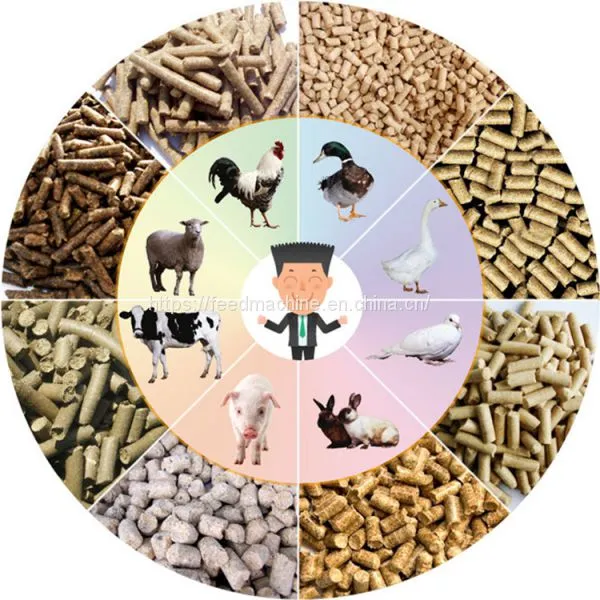 2020 Factory Cheap Price 1-3T/H Animal Feed Pellet Processing Machine Plant , Pellet Feed Production Line photo-4
