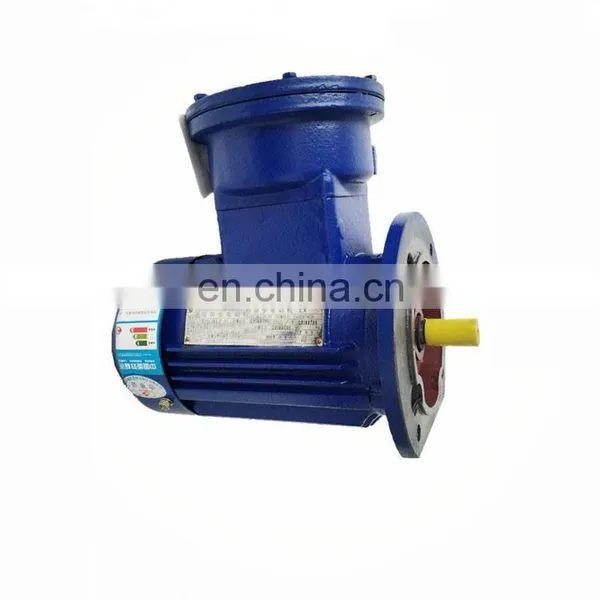 New 2017 Inventions China Motors Brushed Switches Baldor Explosion Proof Motor photo-4