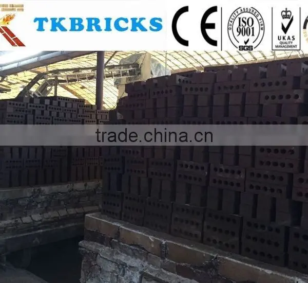 Different Color Paving Brick,clay Paving Brick,pavers for Japan and Korean Market photo-6