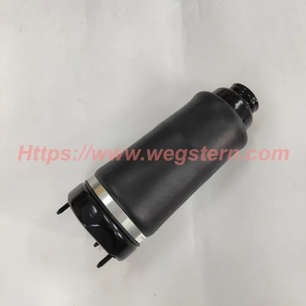 2513203113 Hot Selling Front Air Spring for Mercedes Benz R Class W251 Front LH & RH 2006-2010 photo-2