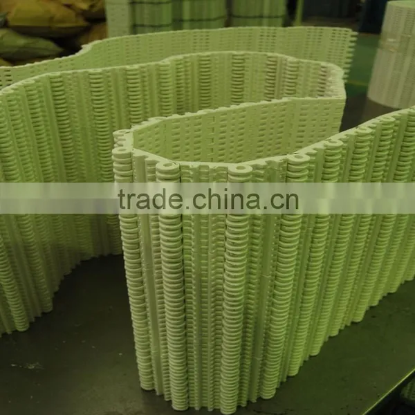Plastic Conveyor Chain Pom Conveyor Belt photo-6
