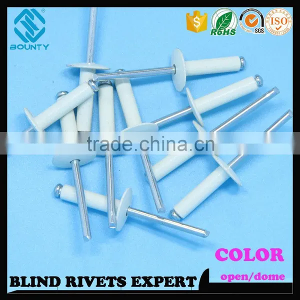 CHINA COLOR ALUMINUM BLIND RIVETS photo-2