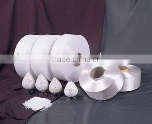 Nylon Poy Yarn 32D/12F SD