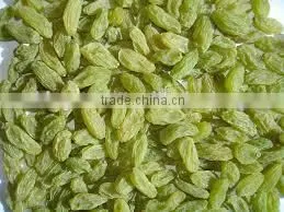 Green Dried Raisin Good Quality photo-2