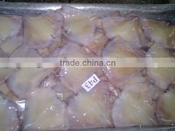 Squid Wings/ Squid Fins