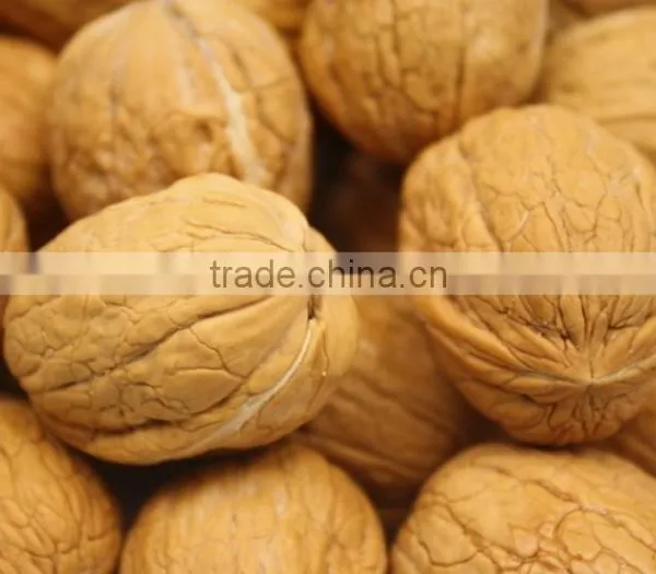 Natural Plant Extract Walnut Oil