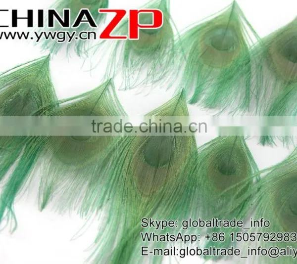 ZPDECOR Factory Bulk Sale Cheap Selling Dyed Mint Green Trimmed Short Peacock Feathers for DIY photo-2