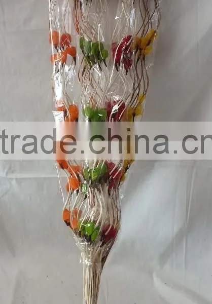 Long Willow