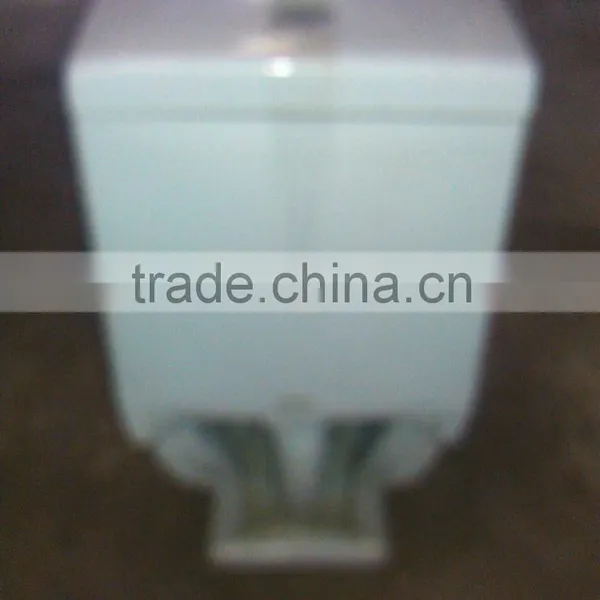 One Piece Toilet photo-3