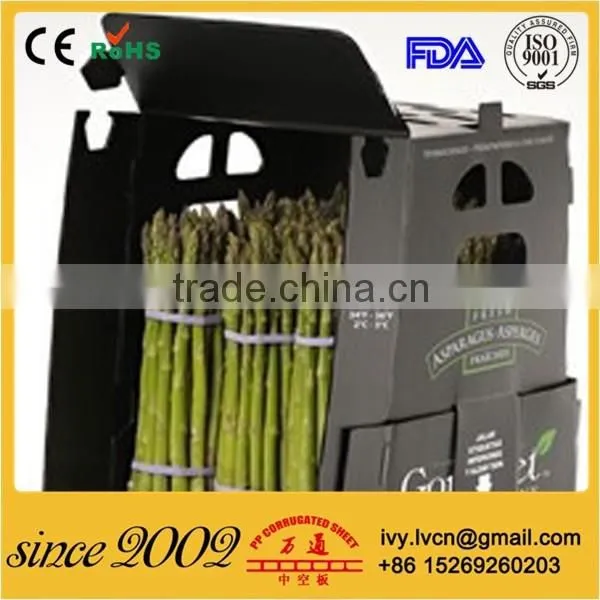 Factory Price Reusable Waterproof Strong Foldable PP Vegetable Packaging Box photo-4