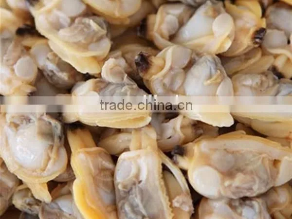 Frozen Fresh Clam Meat Seafood