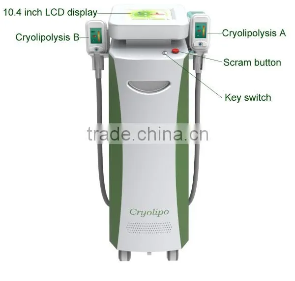 Double Big Handles Work at the Same Time Weight Loss Cryolipolysis-machine-for-home-use photo-4