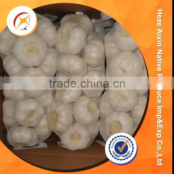 Fresh Garlic Good Quality photo-5