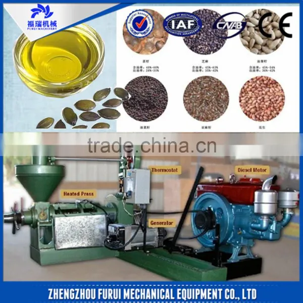 Good Performance Press Oil Machine Small/oil Making Machine photo-2