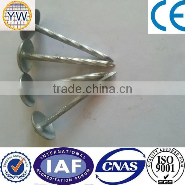 Roofing Coil Nails photo-5