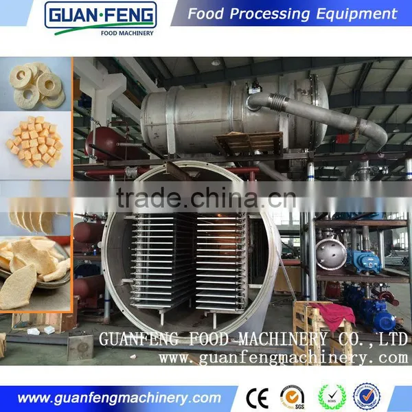Professional Fruit Lyophilizer Equipment Industrial Lemon Drying Machine photo-4