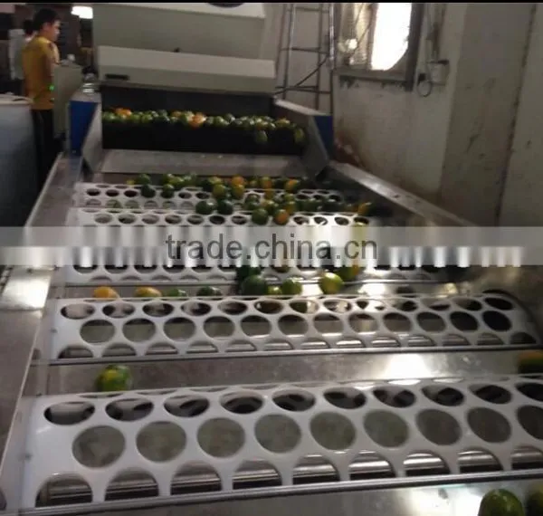 Fruit Washing Waxing Machine/vegetable Sorting Machine photo-5