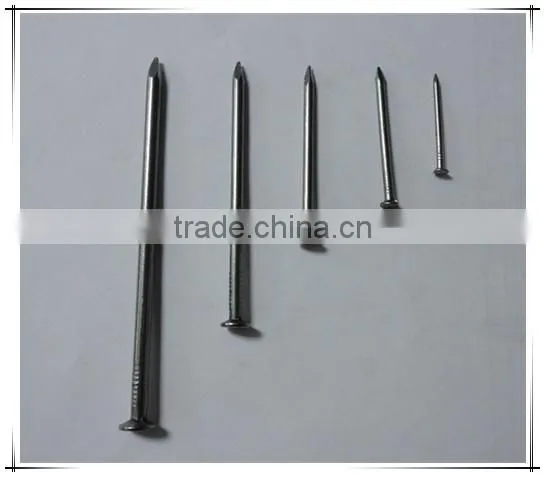 China Manufacturer Nail / Common Nail / Common Wire Nail photo-4