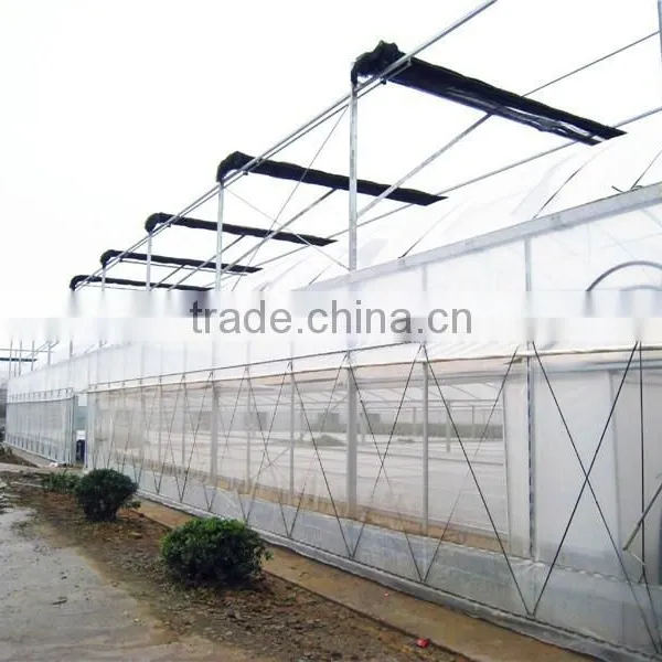 Agricultural Tunnel Arch Greenhouse Price photo-3