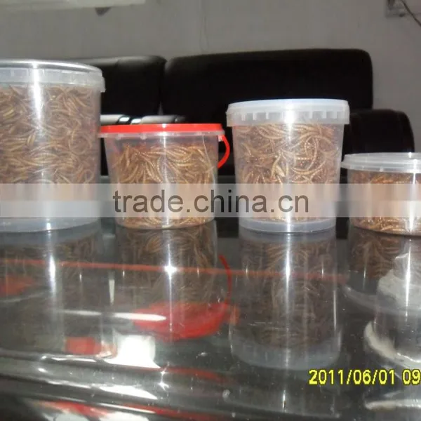 Broiler Poultry Feed Organic Dried Mealworm photo-3