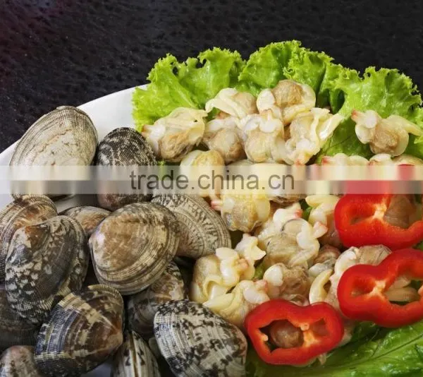Tasty and Delicious Best Frozen Baby Clam Meat