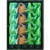 2.6 Inches TFT LCD Module