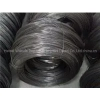 Iron Wire photo-2