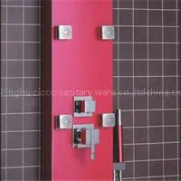 CICCO Cheap Wholesale PVC Shower Panels SP1-040
