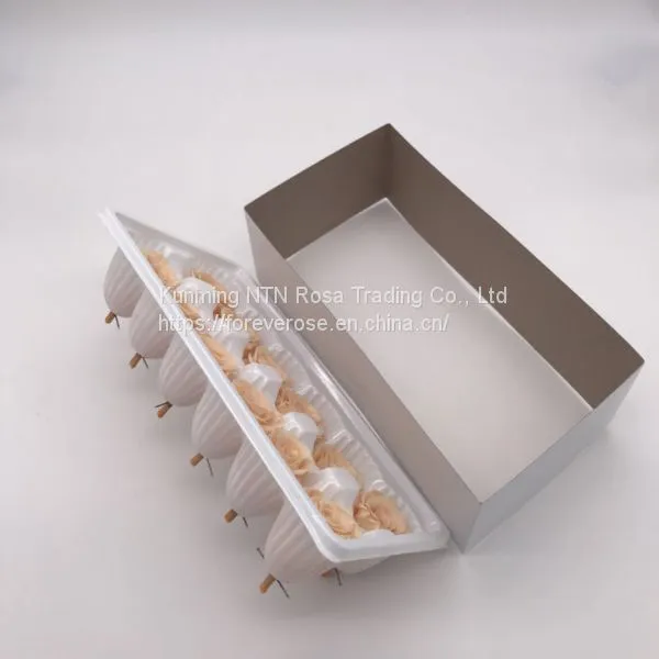 Preserved Rose Flowers for Wedding Decoration Flower Arrangement photo-5