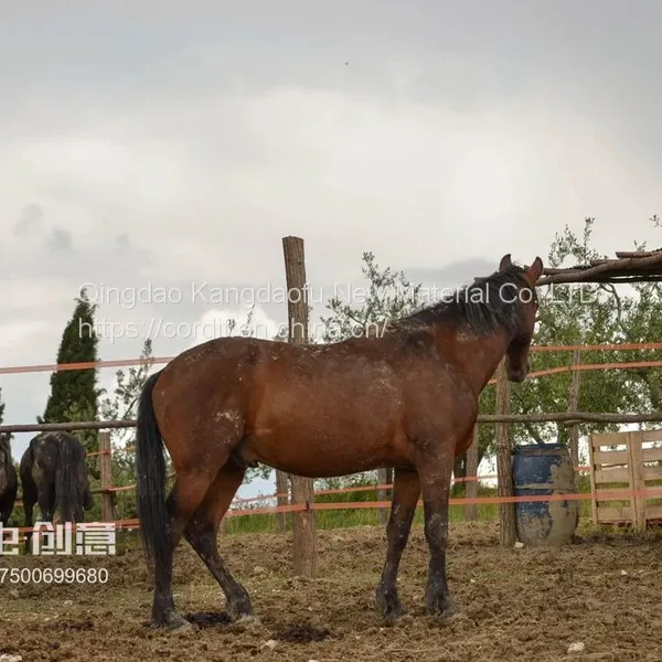 Pasture (electric Fence) Electric Polytape Width 40mmaluminum Magnesium Alloy Wire for Horses in Columbia photo-4