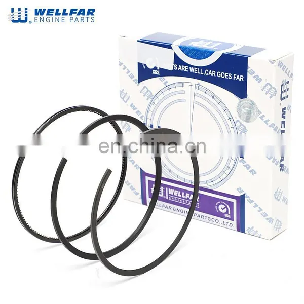 VT365 Engine Parts Wellfar Piston Rings Set 114mm For Navistar Engine photo-4