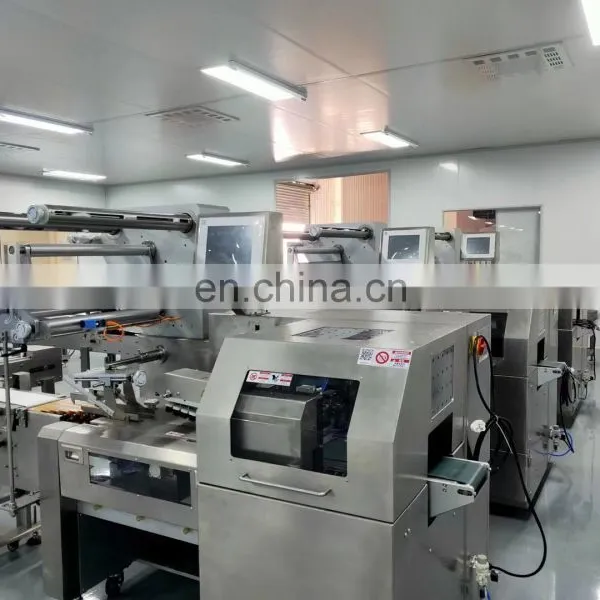 Big Horizontal Packaging Machine Pita Bread Tortilla Arabic Bread Pancake Packing Machine photo-5