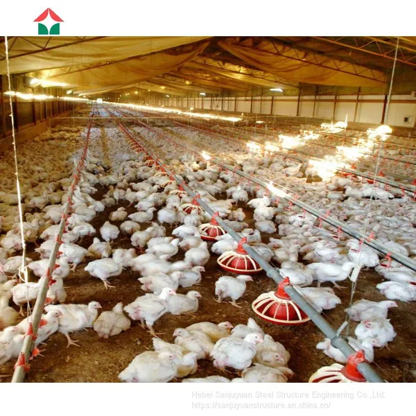 Poultry Farm Design With Bird Cage for Layers photo-3