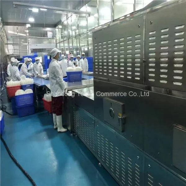 Industrial Microwave Oven, Tunnel Microwave Food Drying Sterilization Machine photo-4