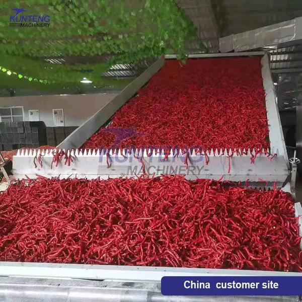 Coal/gas Heating Automatic Chili Drying Machine Red Pepper Dryer Dried Chilli Powder Processing Plant EPC photo-4